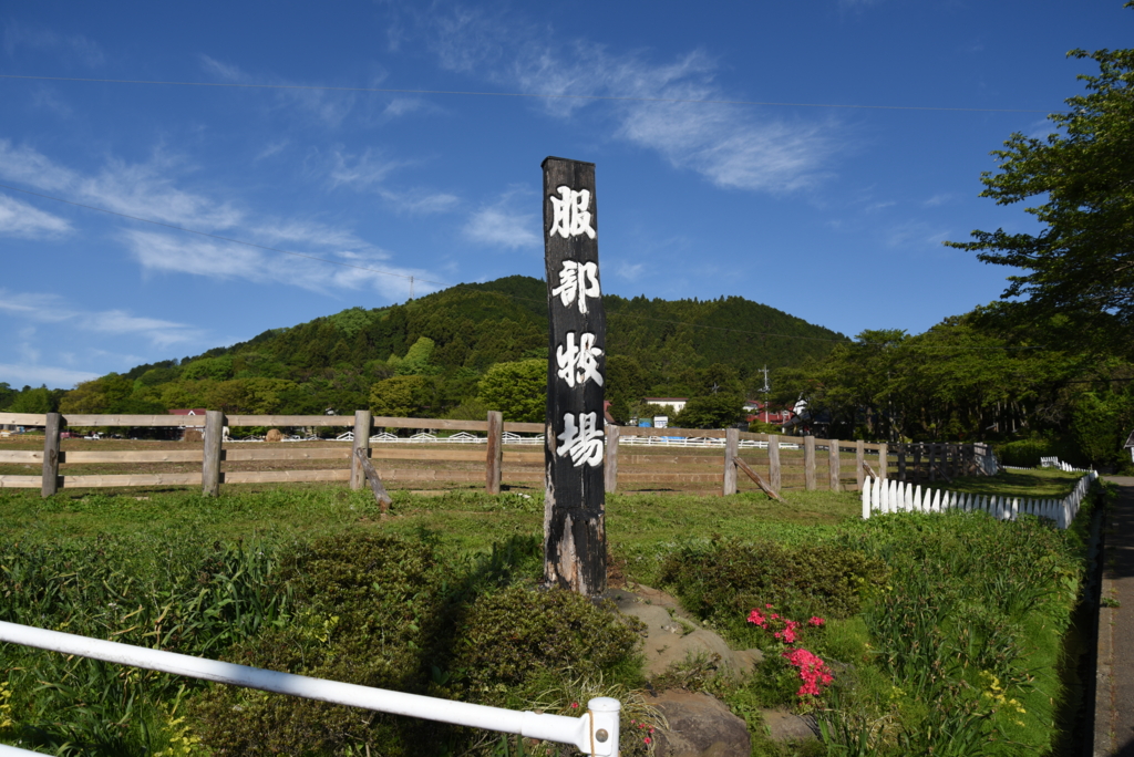 神奈川県のキャンプができる服部牧場 どうぶつと触れ合えてキャンプもできる そして安い ママはずぼら ファミリーキャンプを応援するブログ