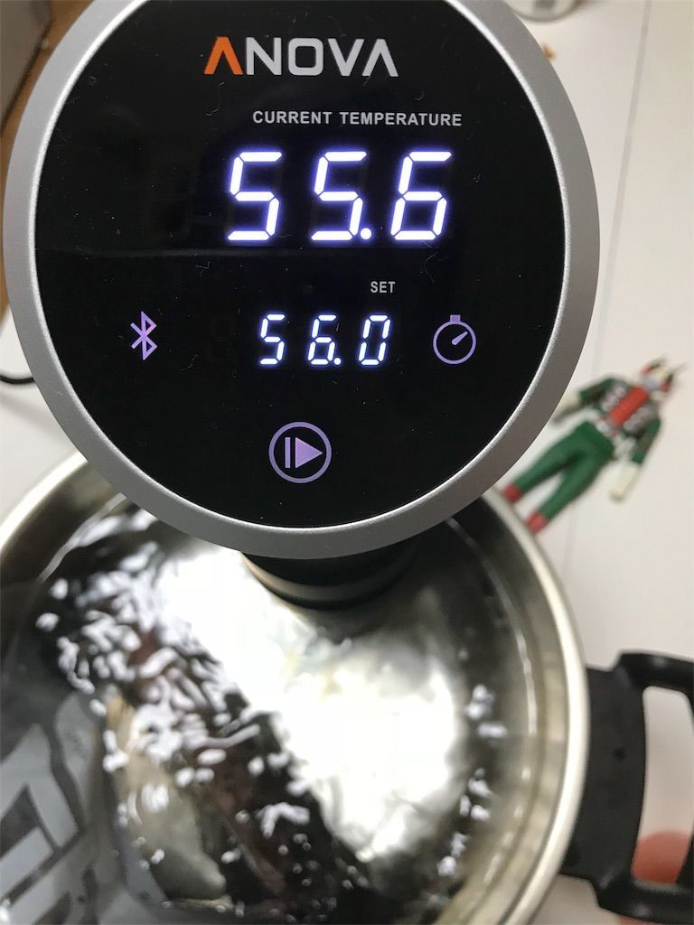 アノーバ 低温調理器 Anova Wi-Fi 2nd Gen ANOVA 低温調理器 アノーバ