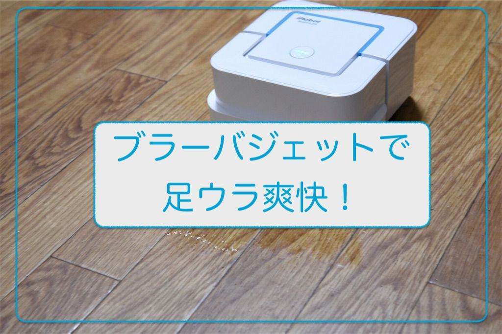 掃除が面倒！ブラーバジェットは本当にいいのか？3ヶ月使用した感想