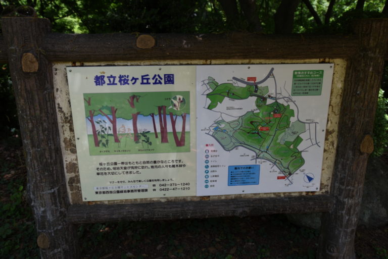 無料で楽しめる都立公園 都立桜ヶ岡公園はこんなところ キレイな遊具と自然散策 ママはずぼら ファミリーキャンプを応援するブログ 無料で楽しめる都立公園 都立桜ヶ岡公園はこんなところ キレイな遊具と自然散策 ママはずぼら ファミリーキャンプを応援するブログ