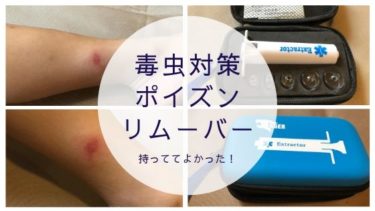 持っててよかったアウトドアグッズ ポイズンリムーバー 使い方 使用写真付き ママはずぼら ファミリーキャンプを応援するブログ