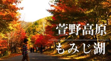 長野キャンプ旅行 もみじ湖 10000本の紅葉がすごかった ライトアップは11月17日まで延長 ママはずぼら ファミリーキャンプを応援するブログ