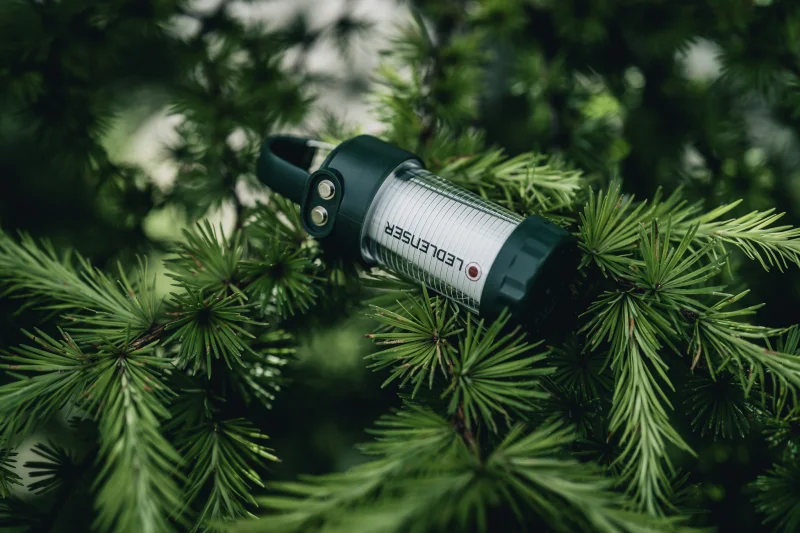 開封レビュー】LEDLENSER ML4 Warm Light Green Limited Edition 